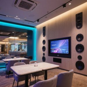 商業空間視聽音響